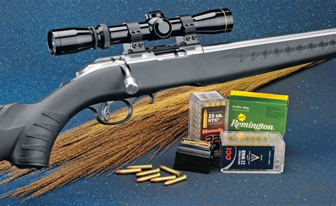 Review Ruger American Rimfire Stainless Rifleshooter