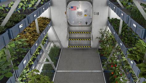 The Future Of Growing Plants In Space ēdn