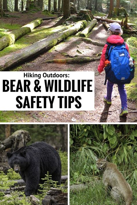 Check Out Our Bear And Wildlife Safety Tips Hiking Outdoors Offers So