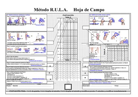 S14s1 Hoja De Campo Rula Método Rula De Campo PuntuaciÓn Tabla