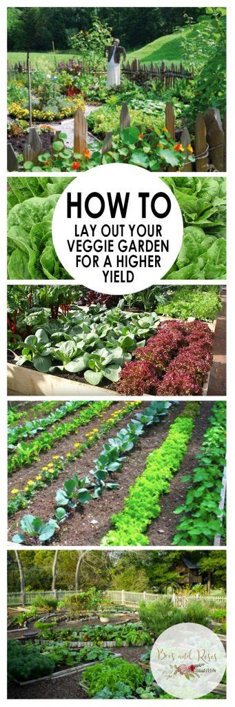 Want to start growing your own vegetables at home, but you have no idea where to start? Vegetable Garden Layout Tips and Tricks ~ Bees and Roses