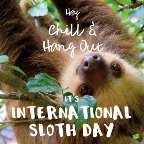 International Sloth Day Fun Facts And Famous Quotes About It
