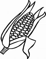 Corn Coloring Ear Candy Drawing Getdrawings Cob Clipart Printable Getcolorings Colouring sketch template