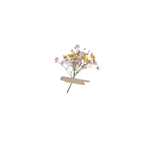 Aesthetic Theme Flower Transparent Png Png Mart