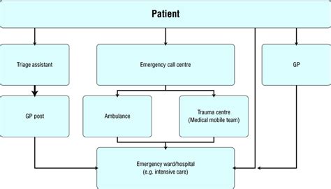 4 Flow Chart For Patient Pathways In Emergency Care Download