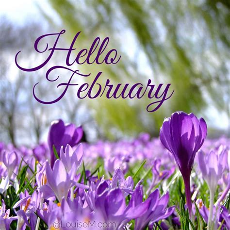 85 February Quotes To Add Fun And Love To Your Month Louisem