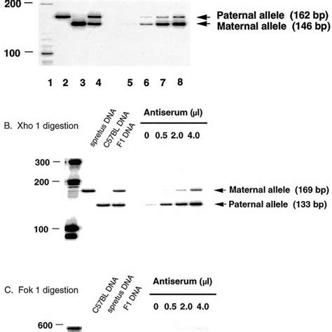 Differential Histone Acetylation Of Igf2r Alleles Oligonucleosomes