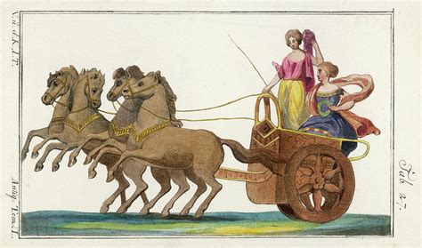 Chariot Of The Ancient Greeks Drawing By Mary Evans Picture Library