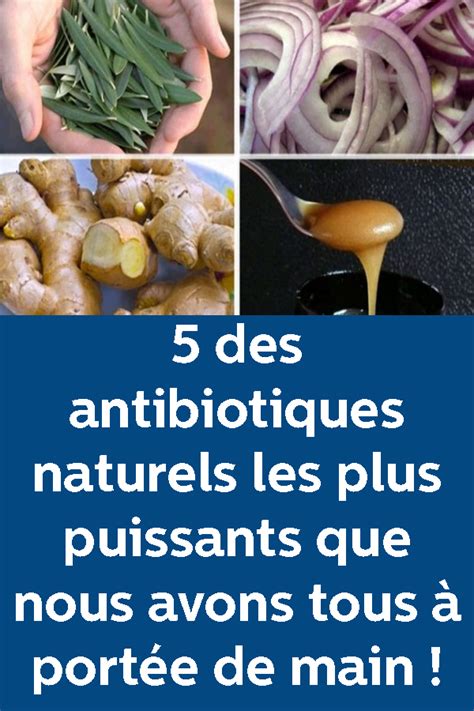 5 Des Antibiotiques Naturels Les Plus Puissants Que Nous Avons Tous à