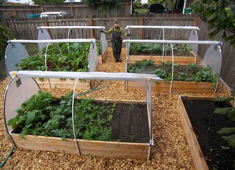 Ideas For Container Vegetable Gardening Design Ideas
