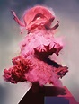 Nick Knight - Photographer Interview - The Impression