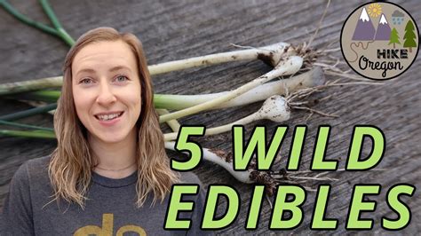 5 Wild Edibles In The Pacific Northwest Youtube