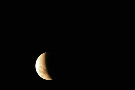 Moon Eclipse Free Stock Photo Public Domain Pictures