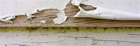 How To Tell If Your House Has Lead Paint Lead Paint Removers Eugene Or