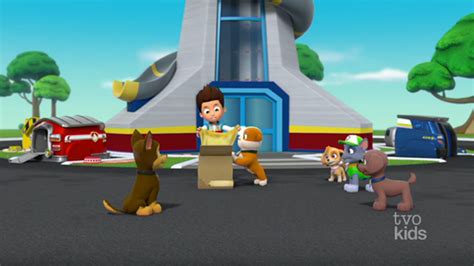 Zumagallerypups Save The Mayors Tulips Paw Patrol Wiki Fandom
