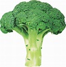 Download Broccoli Png Image With Transparent Background HQ PNG Image ...