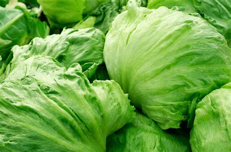 Conoce Estos Cinco Tipos De Lechuga Y Sus Beneficios