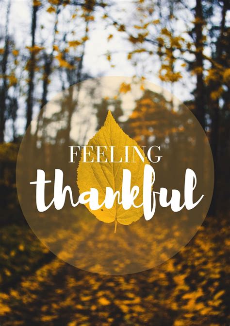 On Feeling Thankful. | Samantha Rose Says