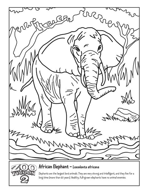 African Savanna Landscape Coloring Pages Coloring Pages