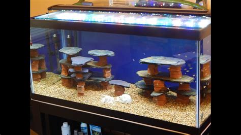 Diyhow To Make A Rockslatestructure For A Fish Tankaquarium Youtube