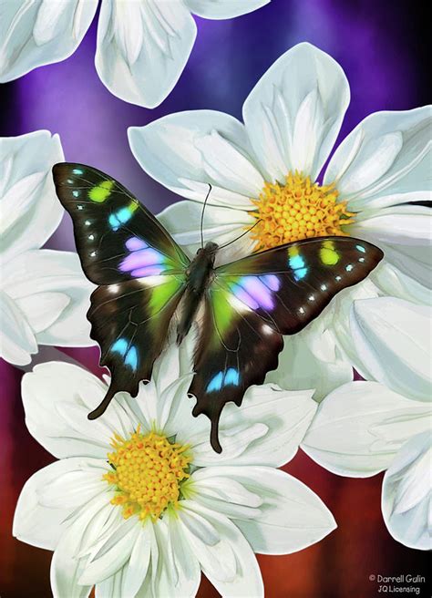 Butterfly Flowers Painting By Jq Licensing Pixels