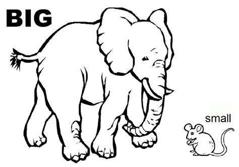 Opposites Coloring Pages At Getdrawings Free Download