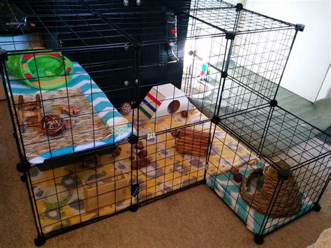Take two dowels that are around 120cm long and put them aligned by the side of the cage. DIY Rabbit Housing - Holly's Hollands Rabbitry
