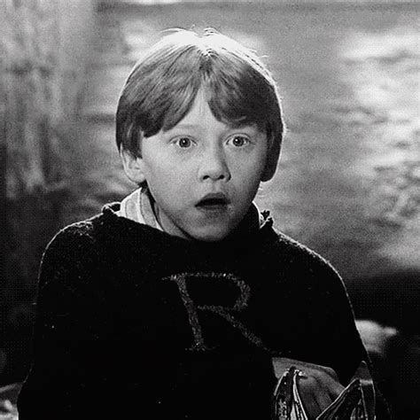 Ron Ronald Weasley Photo 29786054 Fanpop