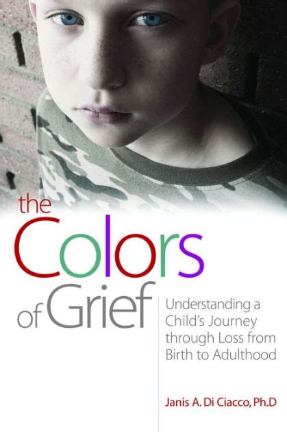 The Colors Of Grief By Janis Di Di Ciacco Paperback Barnes And Noble®