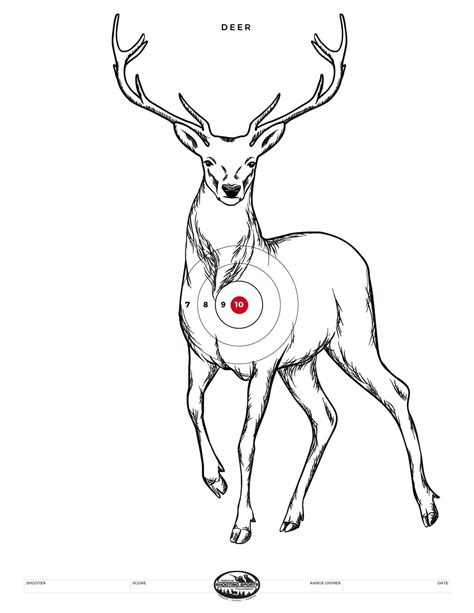 printable deer targets that are transformative derrick murdochs shooting made easy vital point
