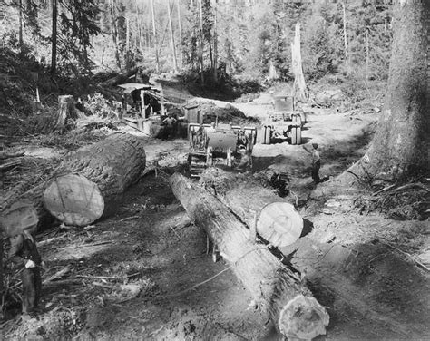 Logging In The 1940s Forest Pictures Oregon Travel Forestry