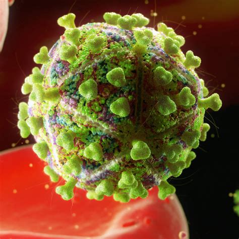 Drug Flushes Hiv From Cells Cosmos Magazine
