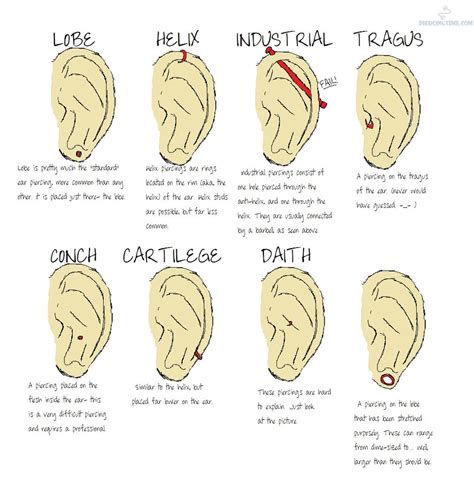 Ear Piercing Diagram