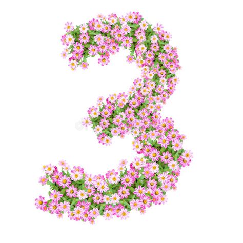 Flowers Numbers 3 Stock Illustration Illustration Of Flowers 54754533