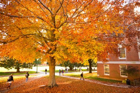 Preview of the Fall Foliage | Parents & Families