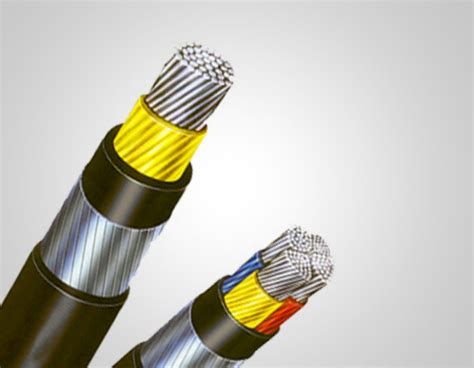 Lt Xlpe Power Control Cables At Rs 85meter Lt Control Cables In