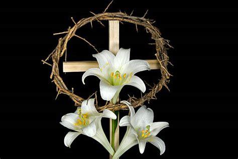 Easter Lily And Cross Stock Photos Pictures And Royalty Free Images Istock