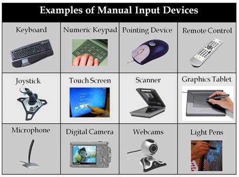 Examples Of Input Devices Input Devices Of Computer C Vrogue Co