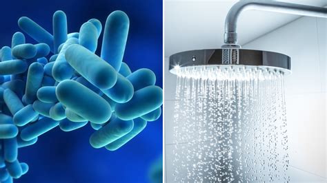 Are Your Water Systems Safe Is Your Legionella Control Up To Date