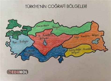 Türkiye nin Coğrafi Bölgeleri Eduhol Etkinlik İndir Oyun Oyna