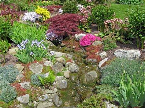 My back yard is flooding almost every time it rains. 9 Landscape Solutions for Problem Yards