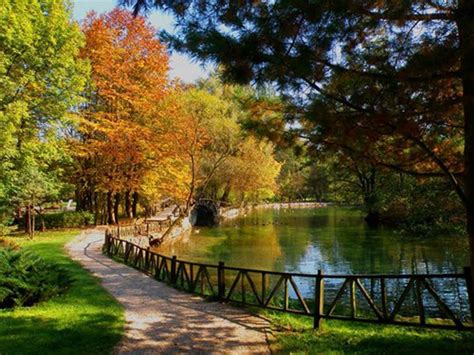 Autumn Bosna I Hercegovina Sarajevo Rijeka Bosna Ilidza Rijeka