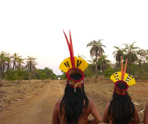 アマゾンの先住民族 特定非営利活動法人 熱帯森林保護団体 Rfj