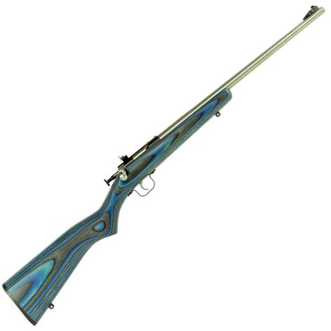 Crickett Blue Laminate Stock Stainless Compact Rifle 22 Long Rifle