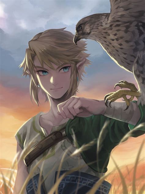 Link The Legend Of Zelda Twilight Princess Artwork By Tsuuuyu