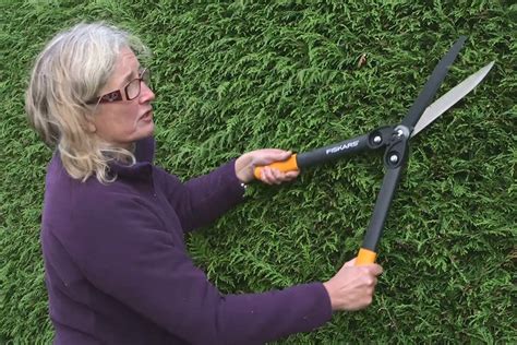 Trimming A Hedge Video Bbc Gardeners World Magazine