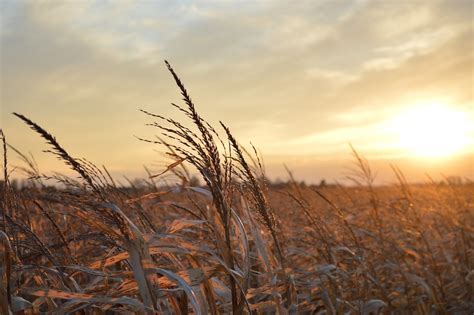 Free Photo Sunset Midwest Landscape Farm Free Image On Pixabay