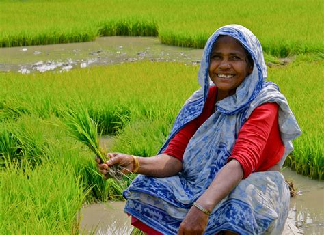 The company is a joint venture between the future group and assicurazioni generali. Free Smartphone Yojana for women farmers in Odisha: eligibility & online application forms ...