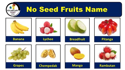 No Seed Fruits Name List With Their Benefits Vocabulary Point