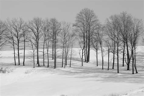 Winter Scenes In Black And White Artistic Pursuits Photography By